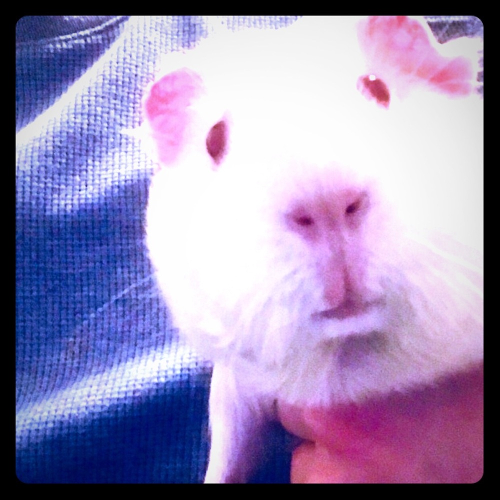 Meet your Posher, Eunji